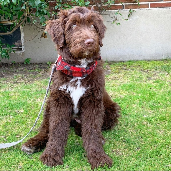 ☺️Meet your Posher, ♥️Bia  💕Welcome !😘 - Picture 14 of 16